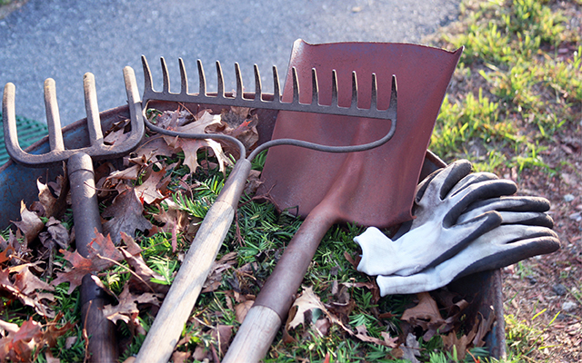A rake and other gardening implements