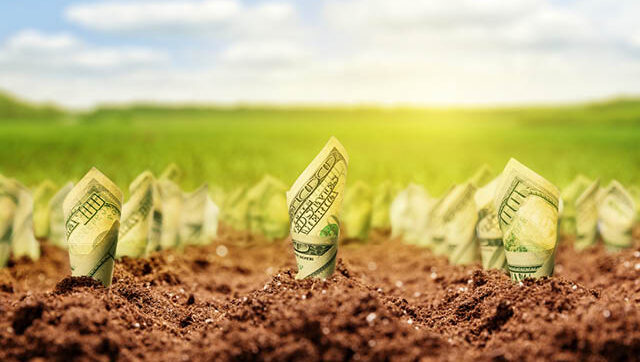 Dollar bills growing from the ground.