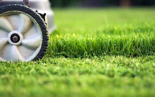 close up of grass being mowed