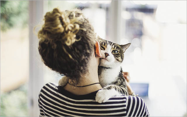 Person cuddling cat