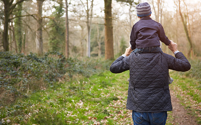 A person with a child hoisted on their shoulders takes a nature walk.