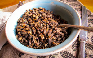 A bowl of roasted crickets