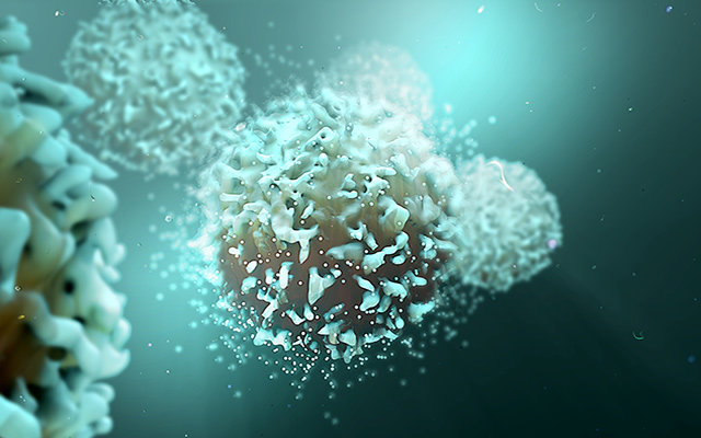 A 3D rendering of a T cell