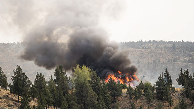 A wildfire is pictured.