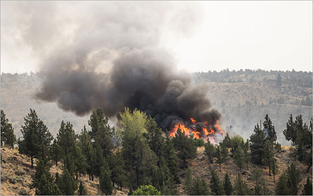 A wildfire is pictured.