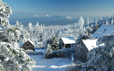 A winter wonderland is shown