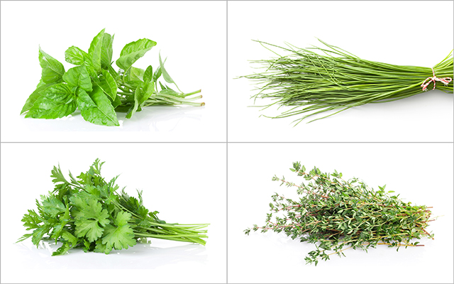 Several different herbs are pictured
