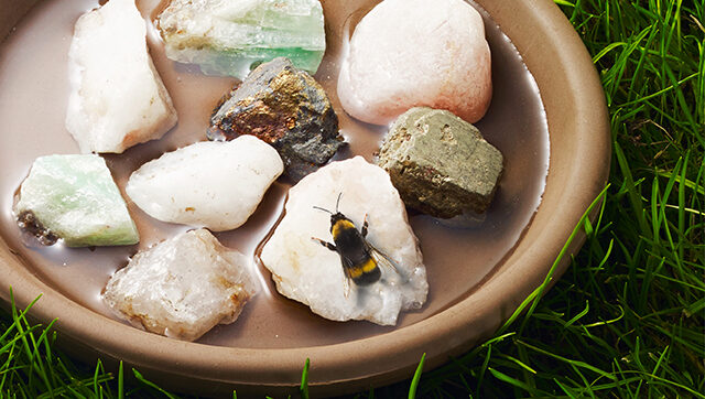 How to Make a Bee Bath