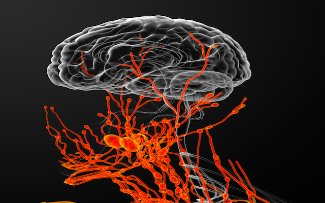 illio brain and nerves