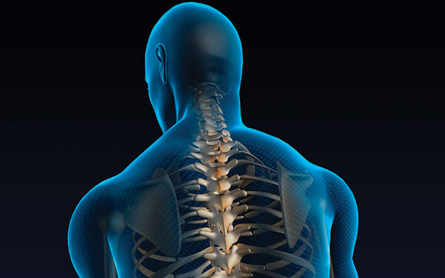 Expert Answers On Spine Rotation