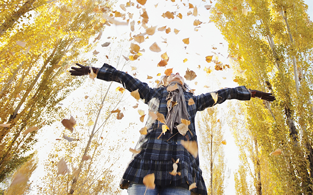 person throwing yellow autumn leaves in the air