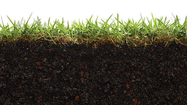 Why Dirt Matters