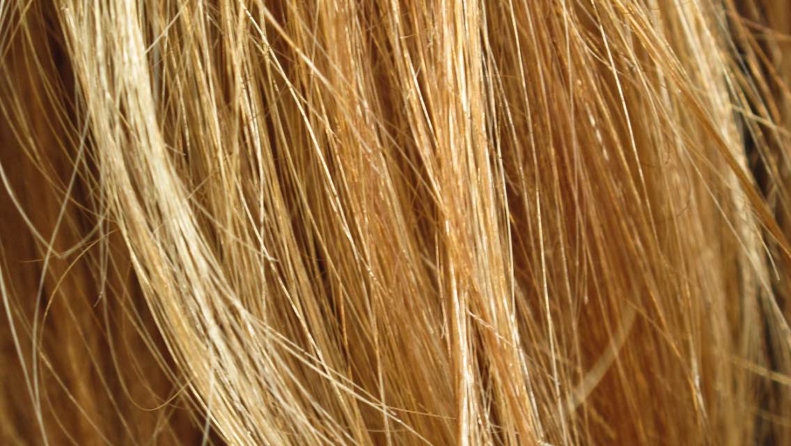 close up of blond hair