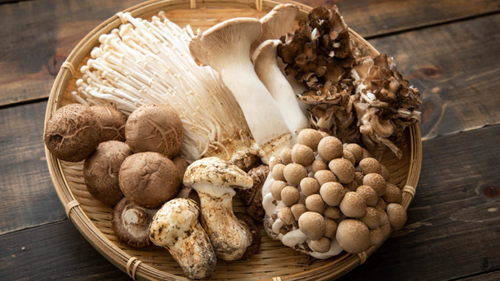 A Guide to Medicinal Mushrooms