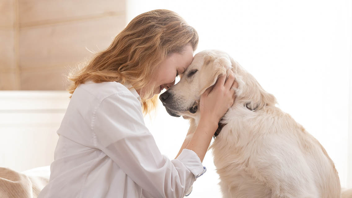 a woman lovingly connects with her dog