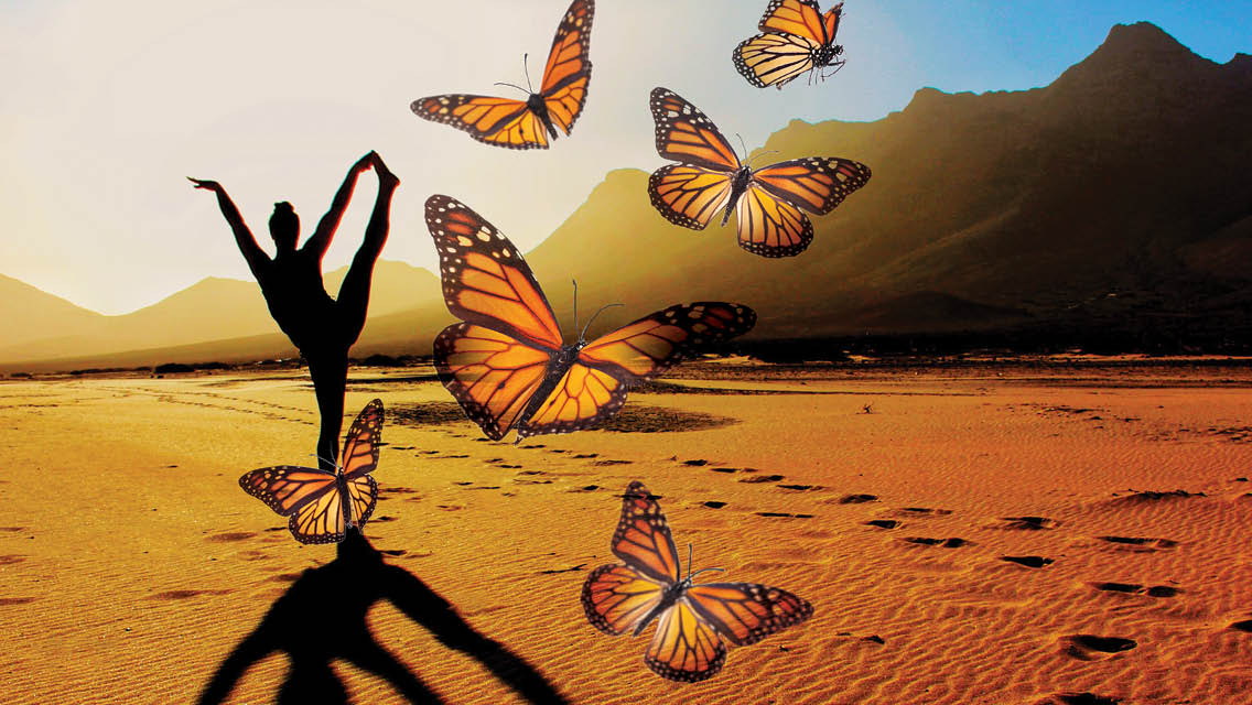 silhouette of woman holding yoga pose with butterflies
