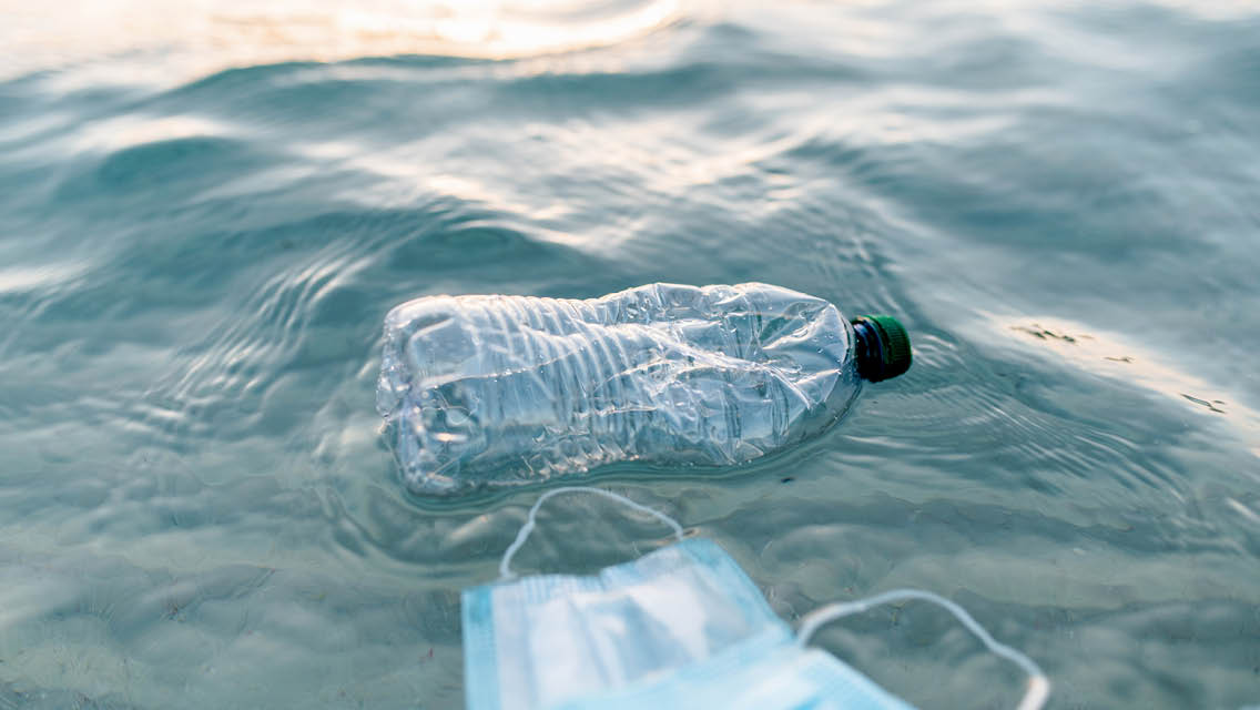 a plastic water bottle and face mask float in water