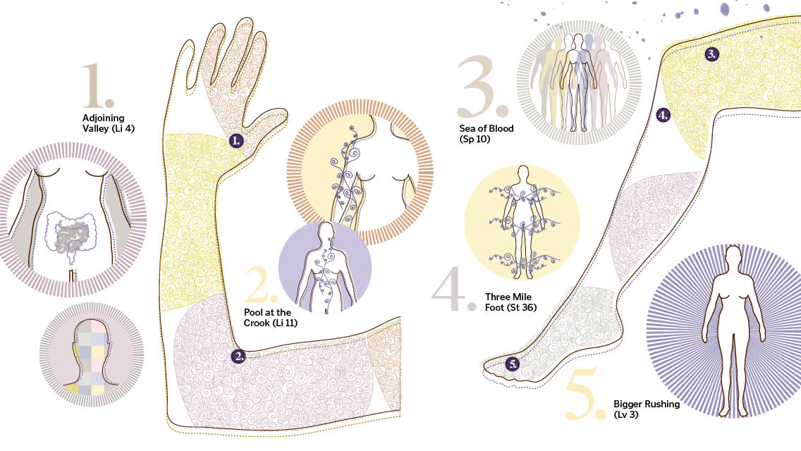 illustration showing where pressure points on the arm and leg are