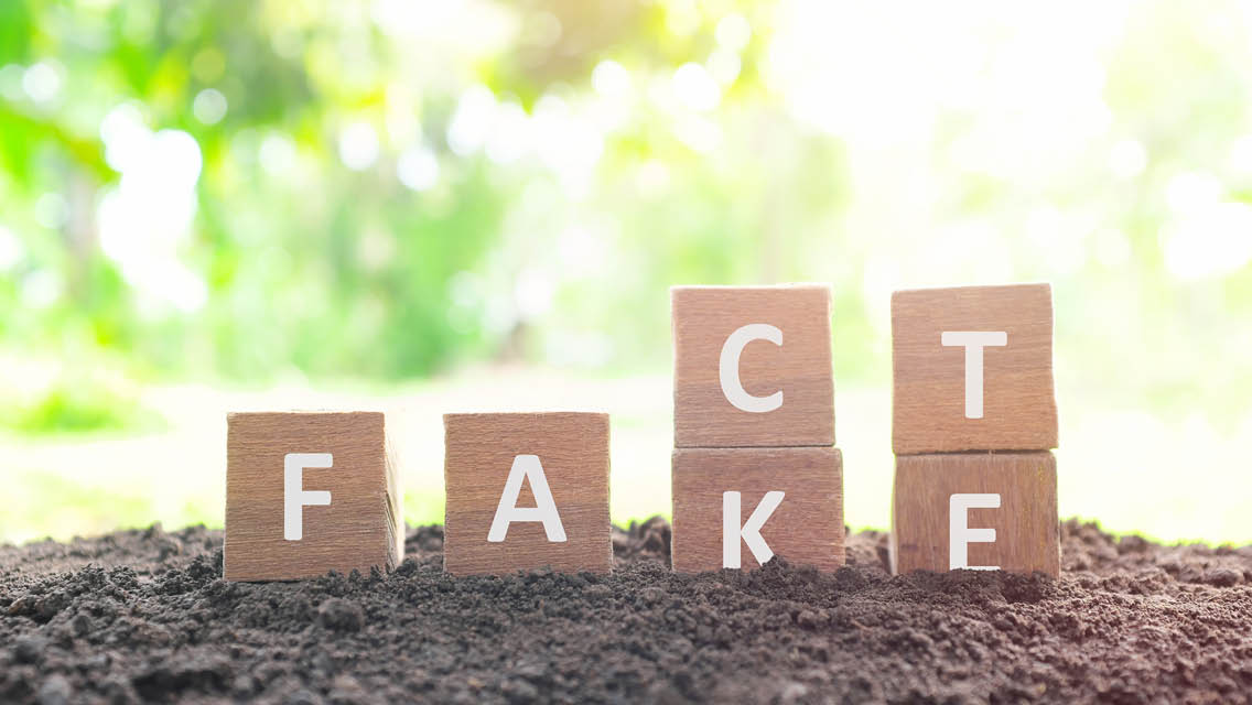 Blocks that spell out FACT and FAKE