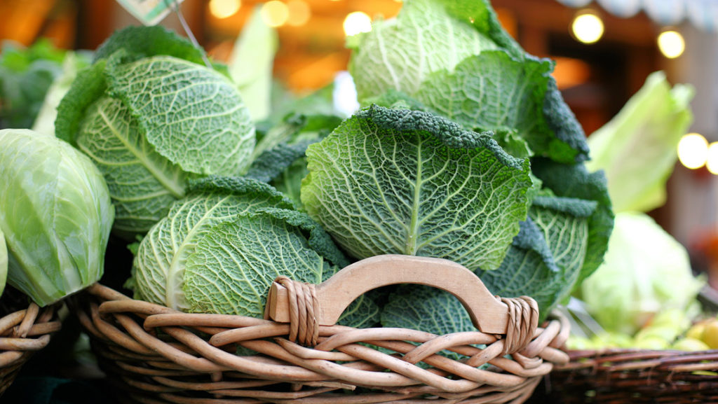 How to Cut Cabbage - Culinary Hill