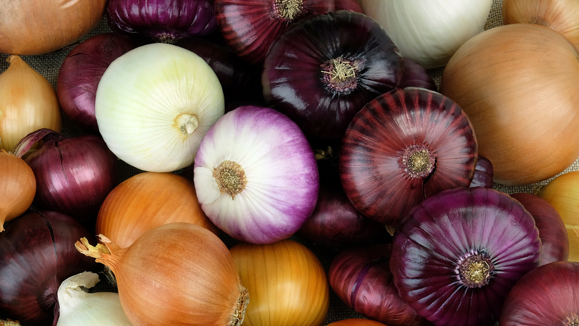 colorful onions