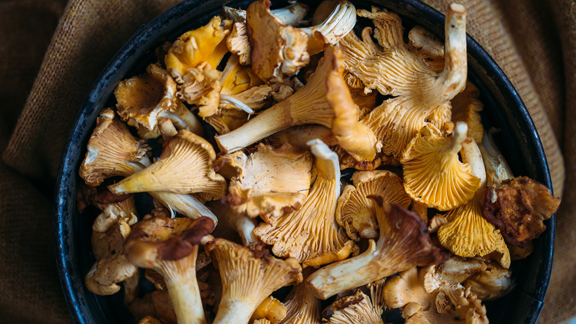 a bowl of wild mushrooms