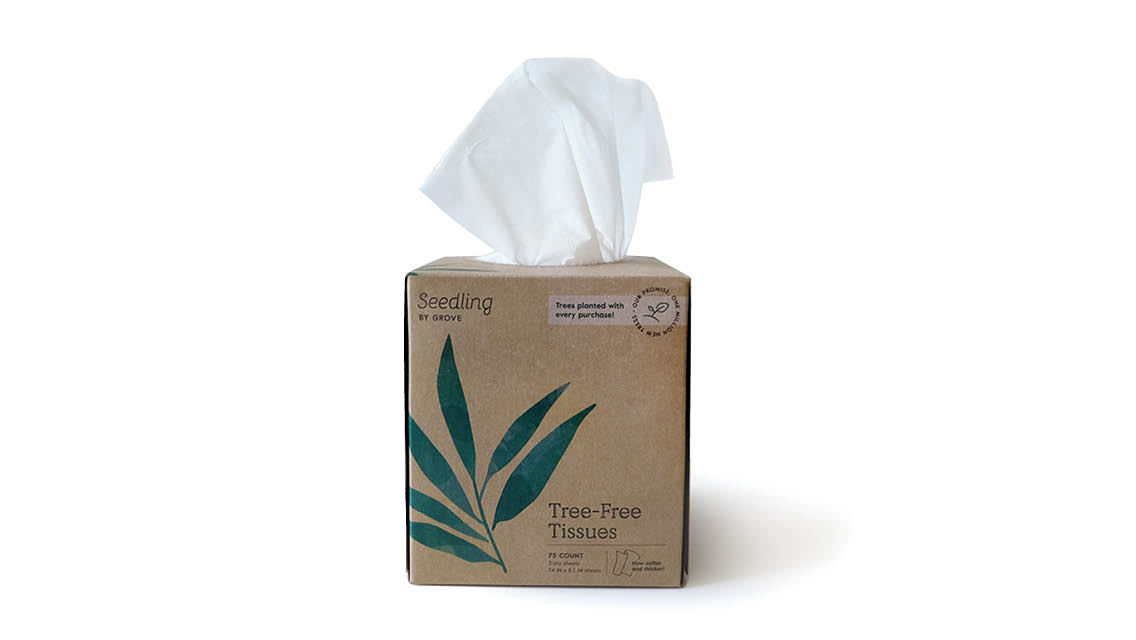 Seedling by Grove Tree-Free Tissues