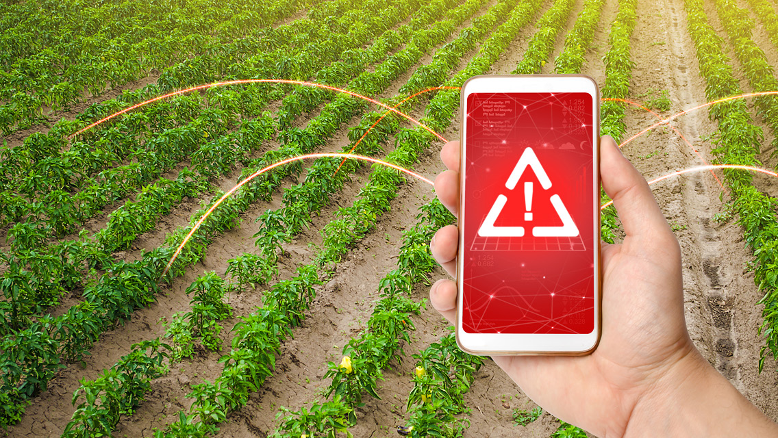 a biohazard sign on a phone being held by a field