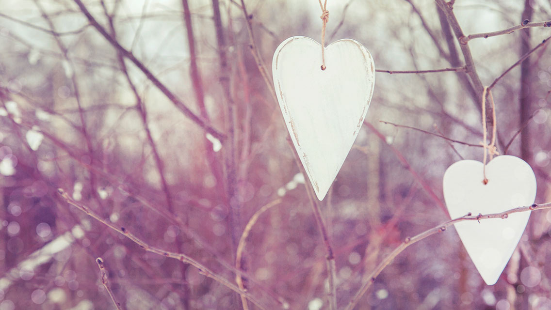 Paper hearts hanging on a tree.