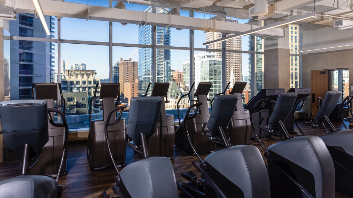 Two rows of elliptical machines inside Life Time River North.