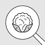 illustration head of cauliflower in a saute pan