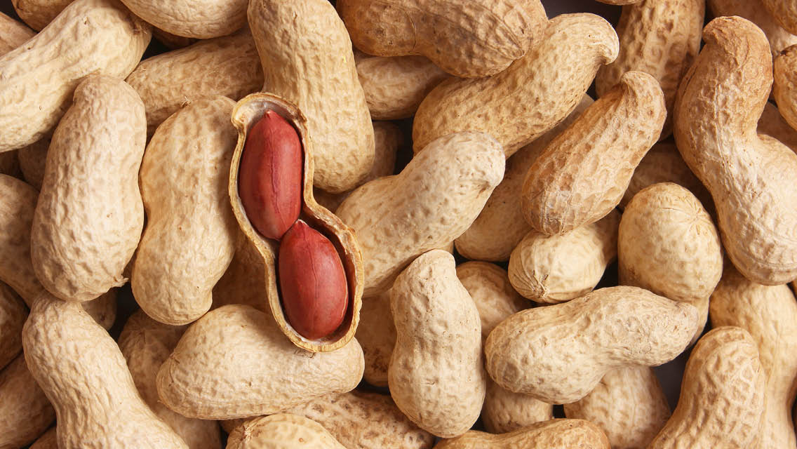 a pile of peanuts