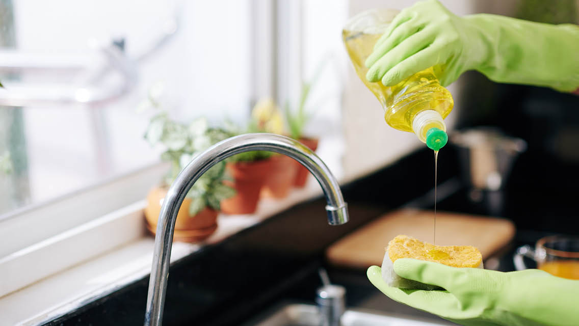 gloved hands pouring dish soap on a sponge
