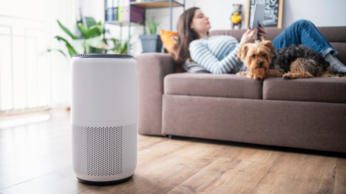 an air purifier runs while a woman sits on a couch with her dog