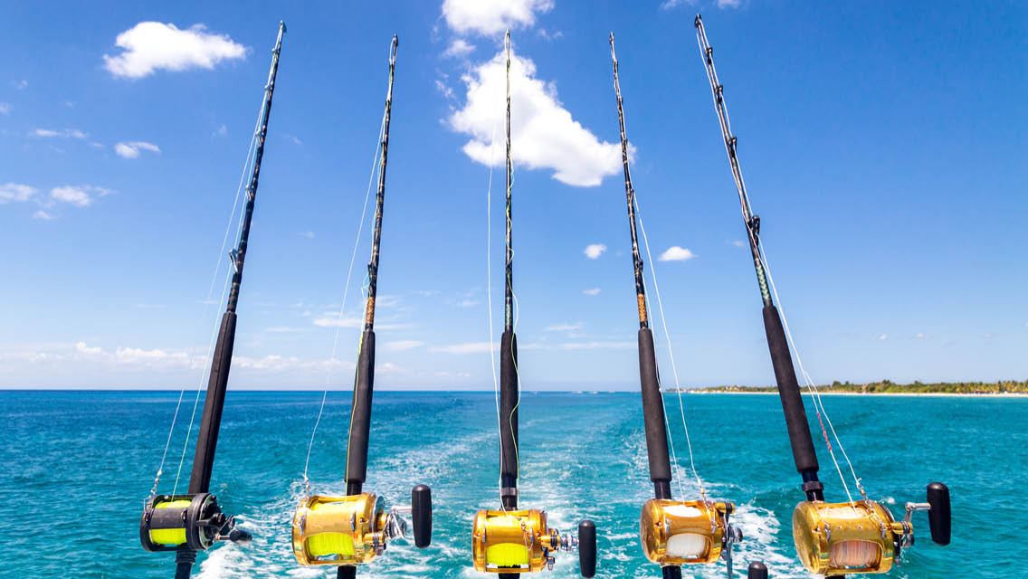 deep sea fishing poles attached to the back of a boat