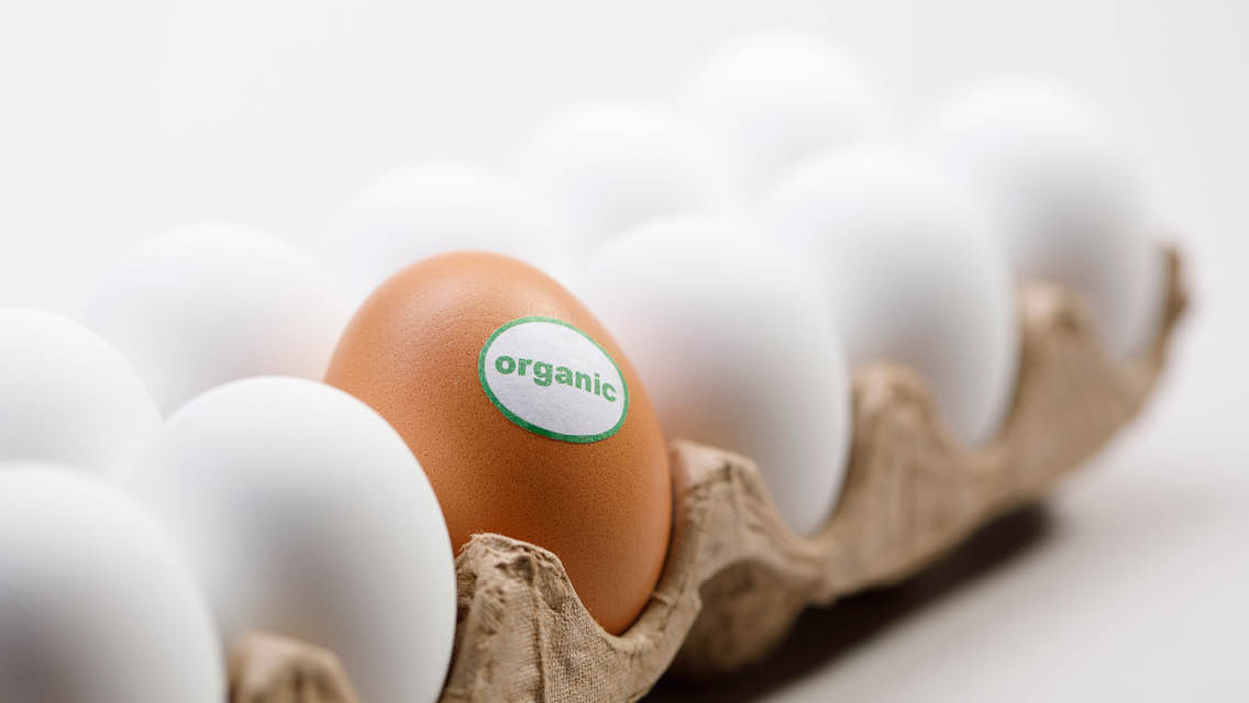 a crate of white eggs with one brown egg labeled as organic