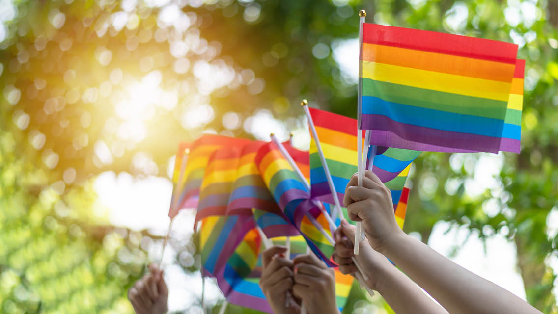 An image of a group of people's hands all holding up rainbow flags outside.