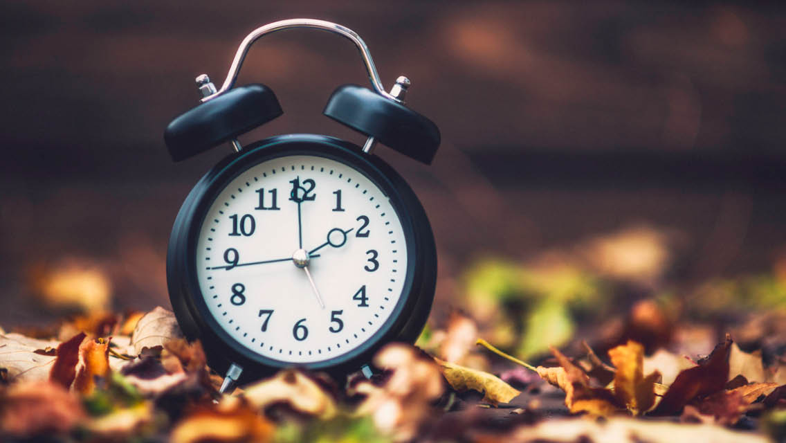 an old fashioned alarm clock sits in leaves