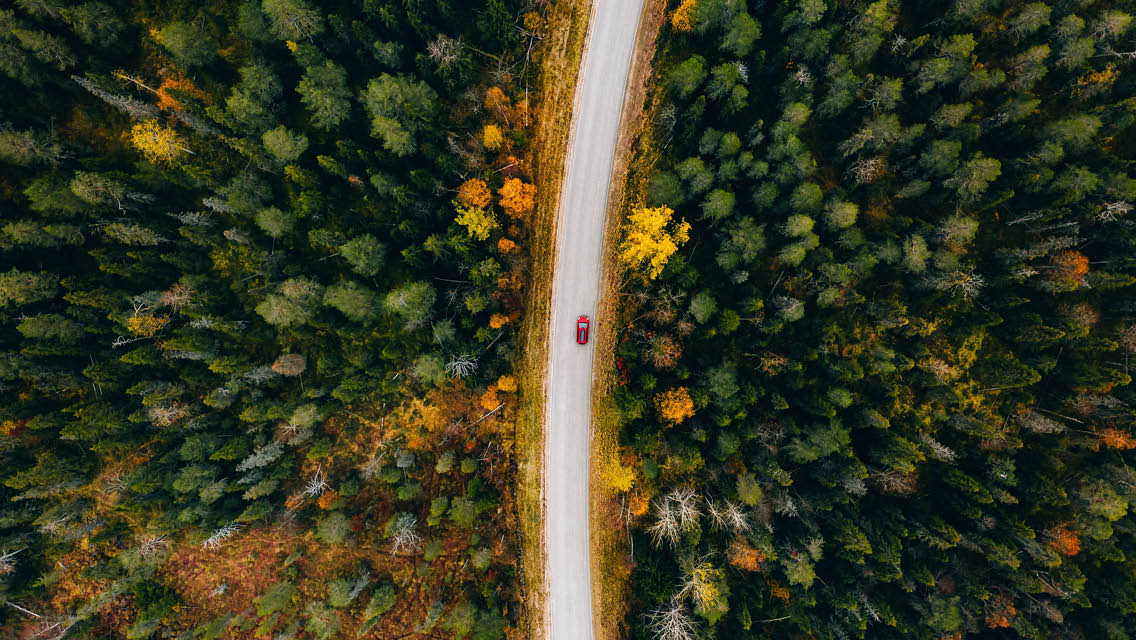 a car drives on a forested road