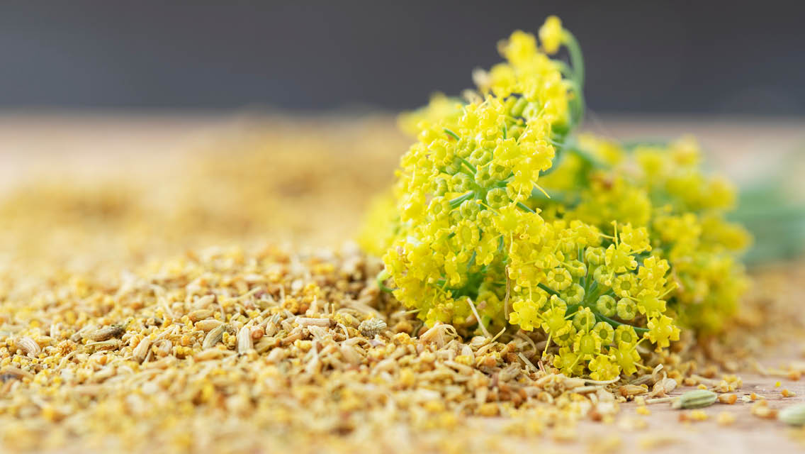 fennel pollen