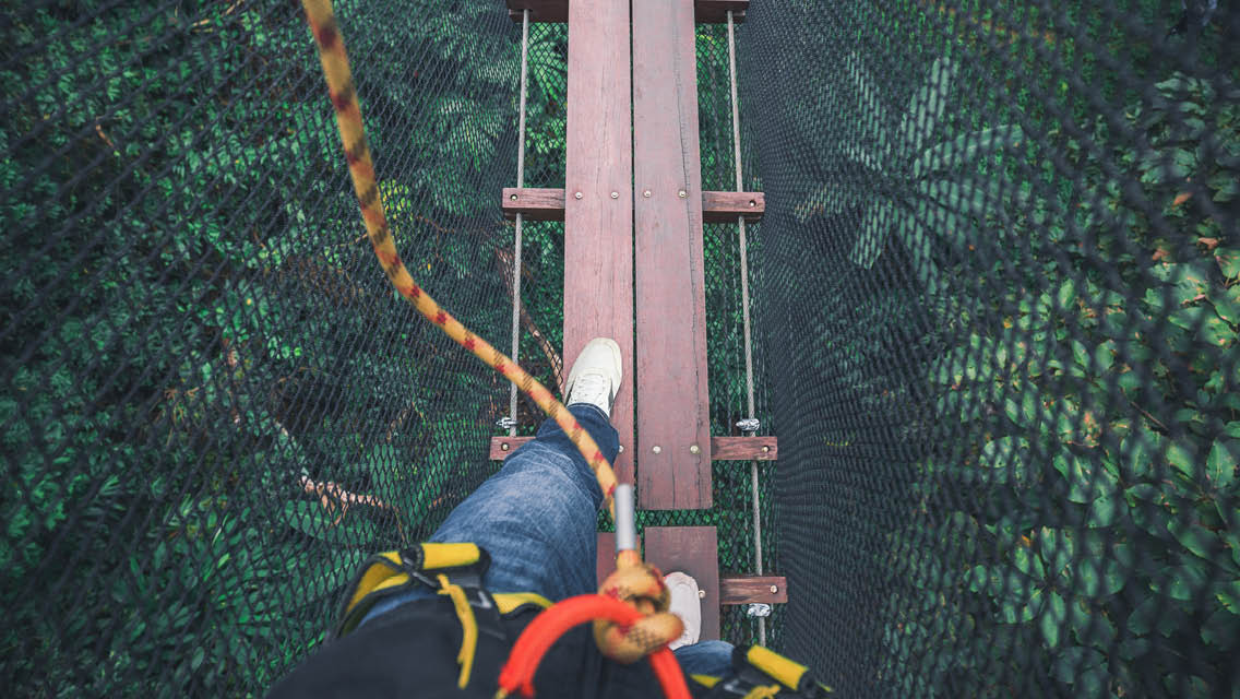 a person walks on a narrow cable bridge high about a forest floor