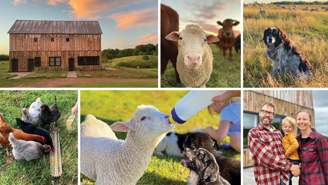 a collage of photos from a farmcation