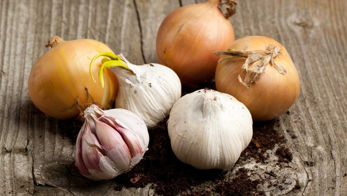 A jumble of whole yellow onions and whole heads of garlic are pictured.