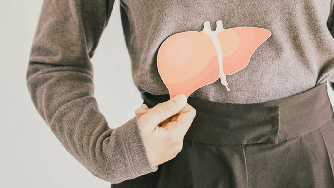 a person holds an image of the liver on their belly