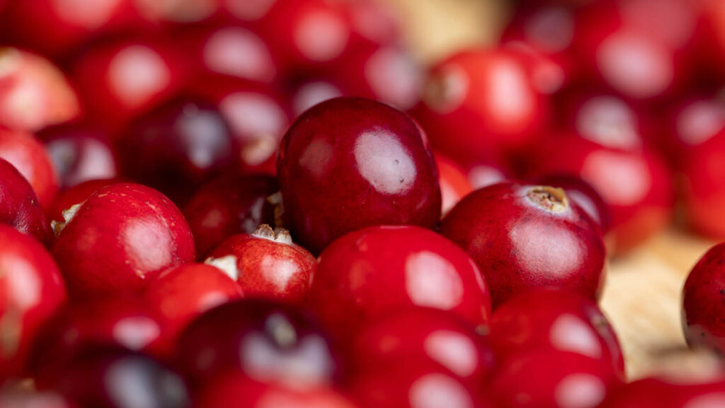 What Are the Health Benefits of Cranberries?