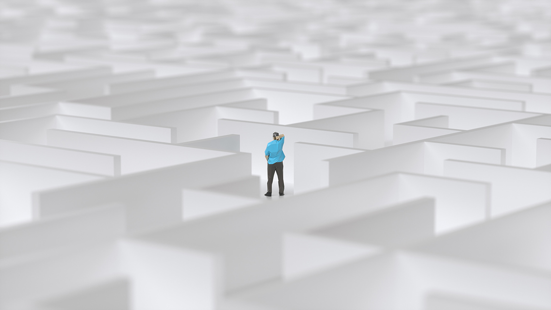 a person stands in a vast maze