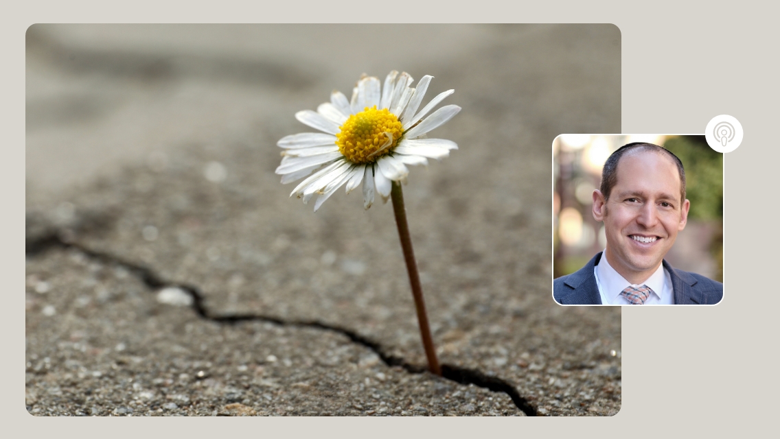 flower in pavement and headshot of David