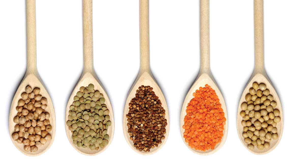 wooden spoon with various legumes high in resistant starch
