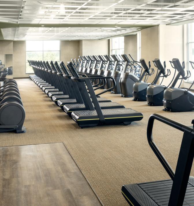 Cardio equipment on the workout floor at a Life Time club.