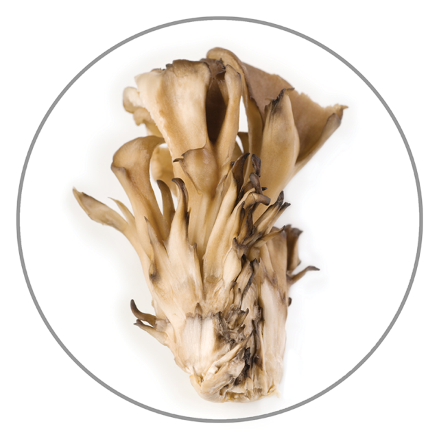 What Are the Health Benefits of Maitake Mushrooms?